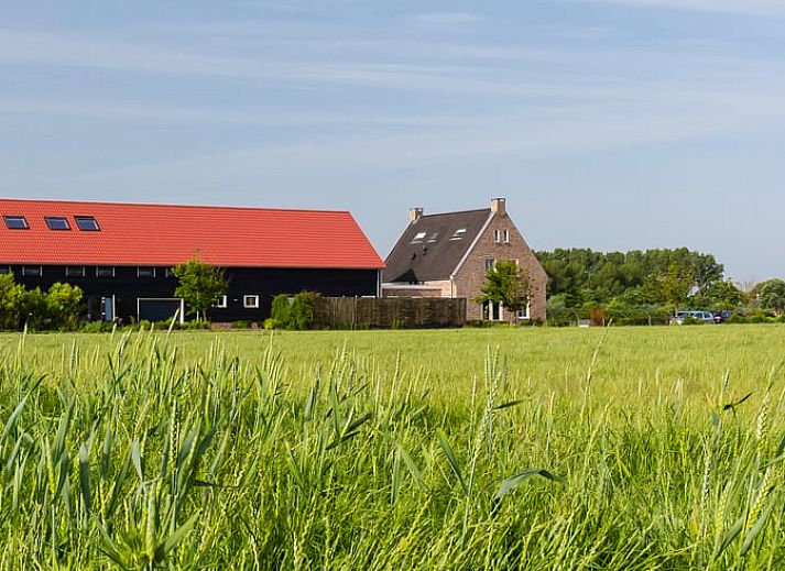 Gemuetliches Wohnzimmer des Ferienhauses in Vrouwenpolder, Walcheren, ideal fuer Familienurlaub in Zeeland.