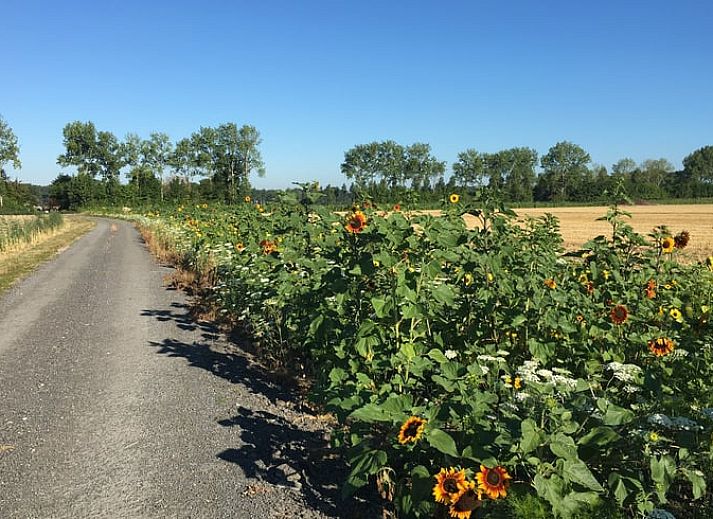 Voll ausgestattete Kueche im Ferienhaus in Vrouwenpolder, Walcheren, perfekt fuer einen komfortablen Aufenthalt.