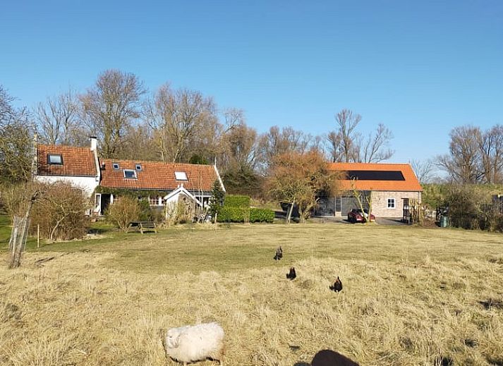 Lichte woonkamer in Vakantiehuis in Vrouwenpolder, Walcheren, met uitzicht op groene tuin.