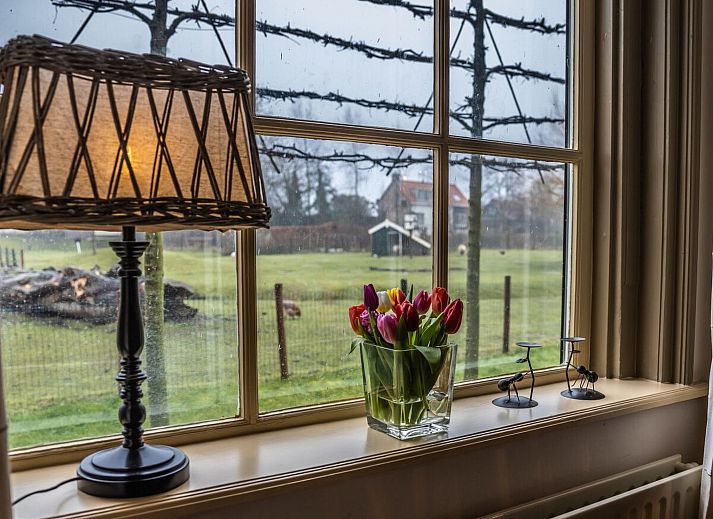 Verblijf 620990 - Vakantiewoning Walcheren - Vakantiehuis Oranjezon B
