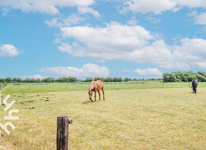 Guest house 621012 - Holiday property Walcheren - ZE668