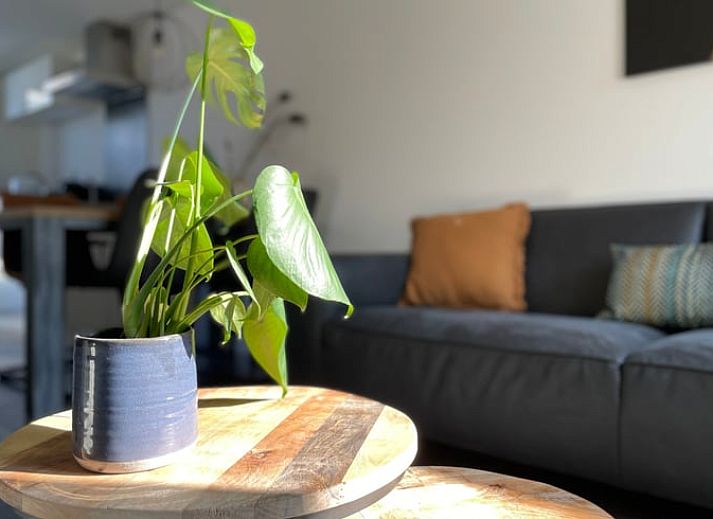 Huisje in Veere, vakantiehuis in Walcheren, Zeeland met sfeervol terras en groene omgeving.