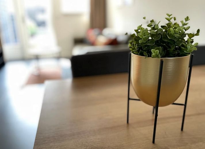 Huisje in Veere, vakantiehuis in Walcheren, Zeeland met sfeervol terras en groene omgeving.