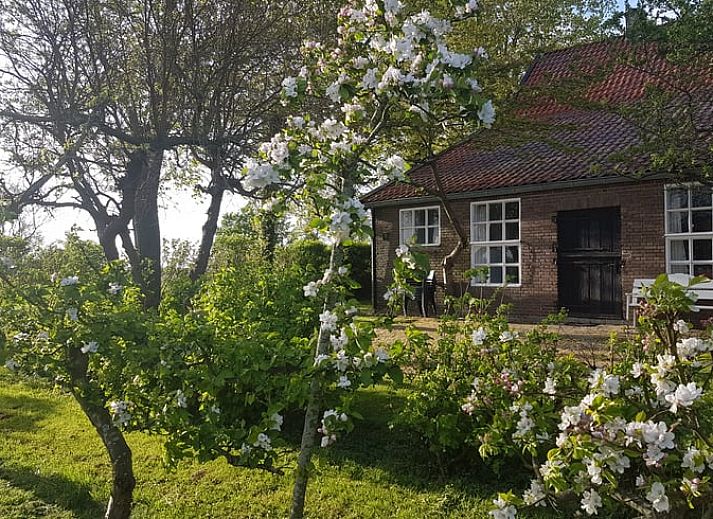 Verblijf 621022 • Vakantiewoning Walcheren • Huisje in Veere