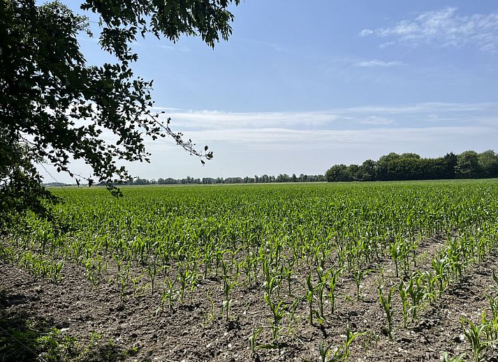 Verblijf 621042 - Vakantiewoning Walcheren - ZE120