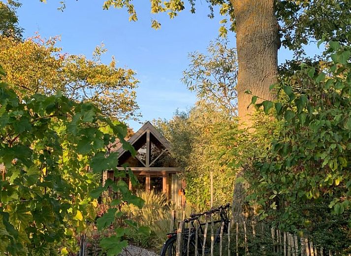 Charmante veranda van Vakantiehuis in Serooskerke, Walcheren in Zeeland met uitzicht op de natuur.