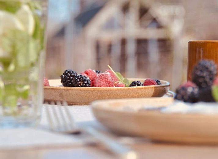 Buitenzijde van Vakantiehuis in Serooskerke, Walcheren omgeven door weelderige natuur in Zeeland.