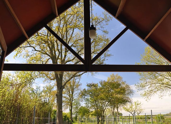 Buitenzijde van Vakantiehuis in Serooskerke, Walcheren omgeven door weelderige natuur in Zeeland.