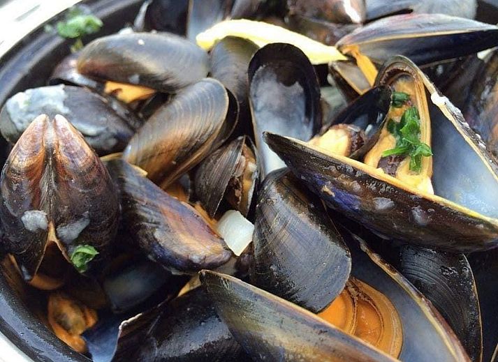 Cozy sitting area in VZ814 Chalet in Veere, Serooskerke, Walcheren, overlooking green surroundings.