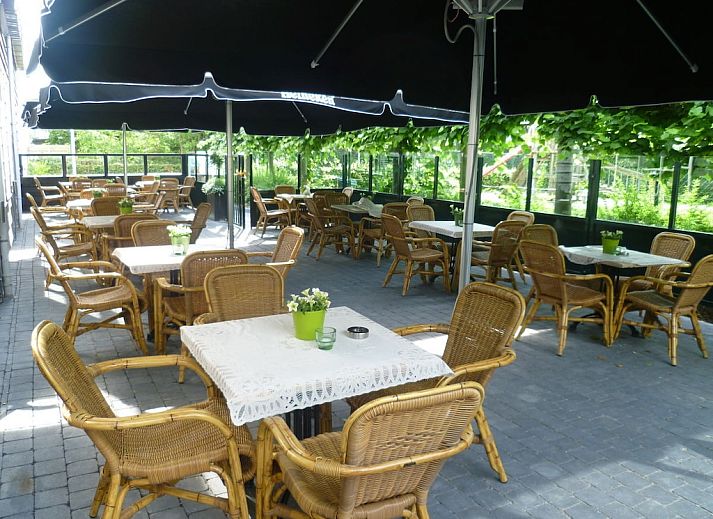 Guest house 621139 - Chalet Walcheren - 137152
