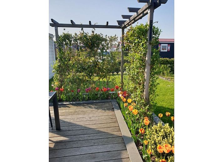 Guest house 621142 - Chalet Walcheren - 128473