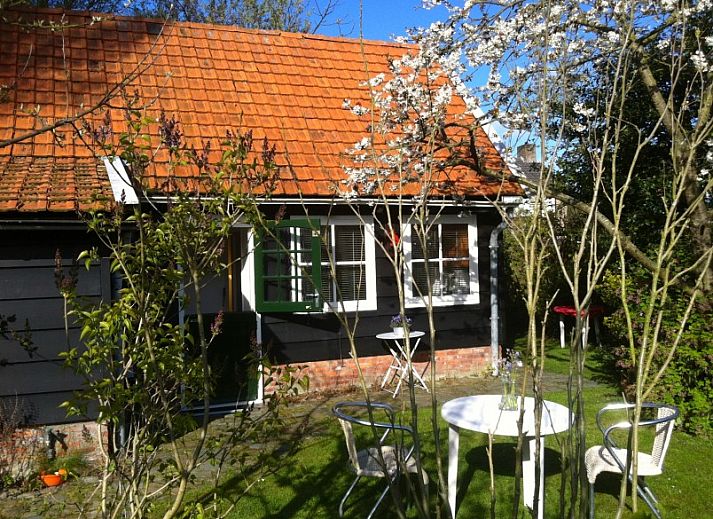 Verblijf 621145 • Vakantiewoning Walcheren • Zeeroos