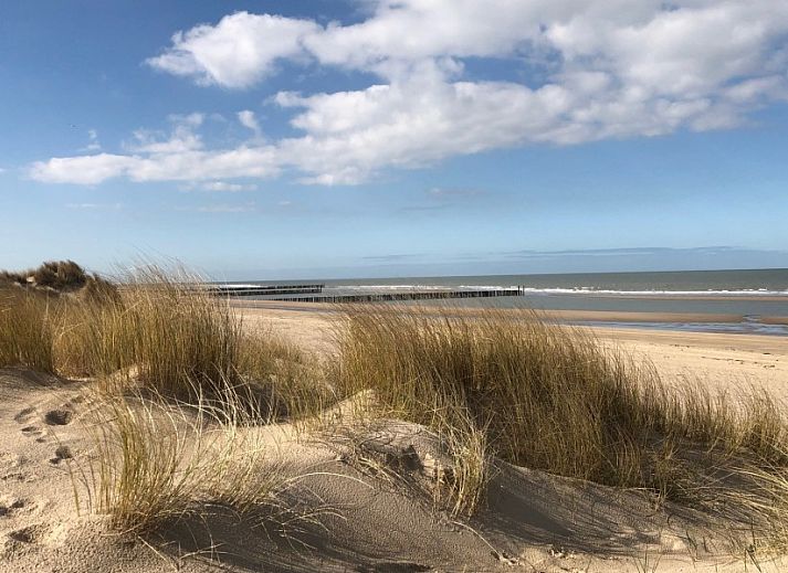 Verblijf 621153 - Vakantiewoning Walcheren - &#8216;Zeewinde&#8217;