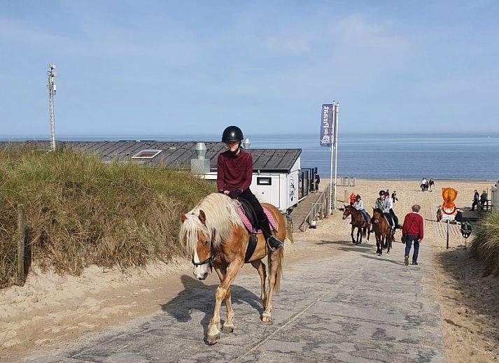 Helles Wohnzimmer in DE ZON IN STEE AAN ZEE in Serooskerke, Walcheren, mit gemuetlicher Sitzecke und Zugang zum Garten.