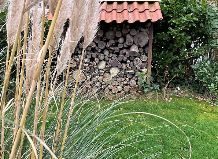 Entrance to Holiday home in Dishoek, a charming vacation home in Zeeland.