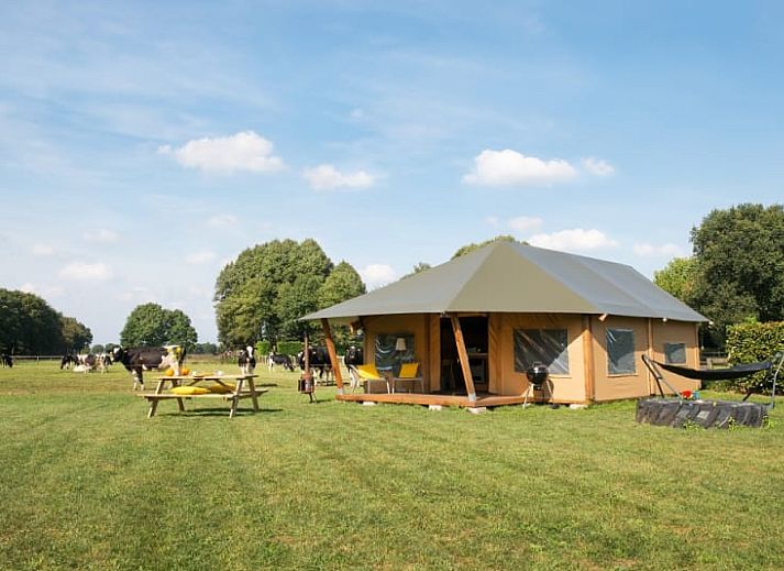 Unterkunft 621414 - Zelthaus Walcheren - Barntent