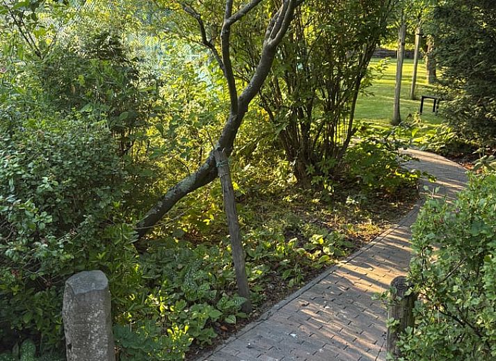Eettafel bij dakraam in Huisje in Middelburg, vakantiehuis in Walcheren, Zeeland met uitzicht op de natuur.