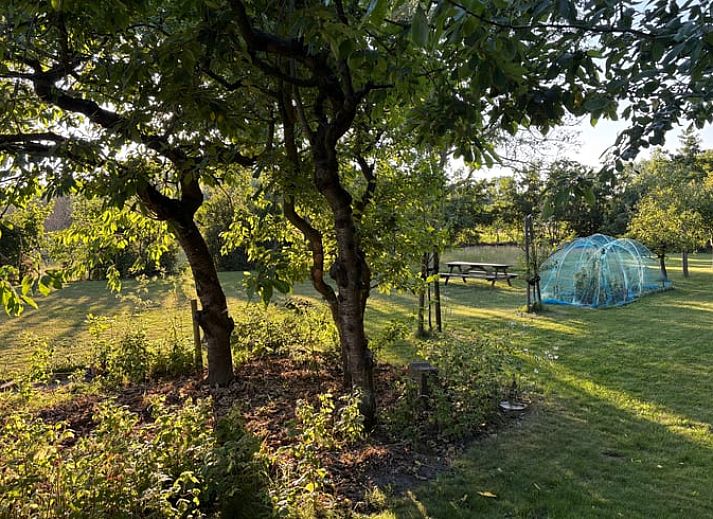 Eettafel bij dakraam in Huisje in Middelburg, vakantiehuis in Walcheren, Zeeland met uitzicht op de natuur.