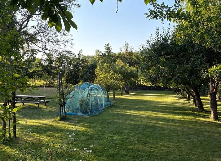 Eettafel bij dakraam in Huisje in Middelburg, vakantiehuis in Walcheren, Zeeland met uitzicht op de natuur.