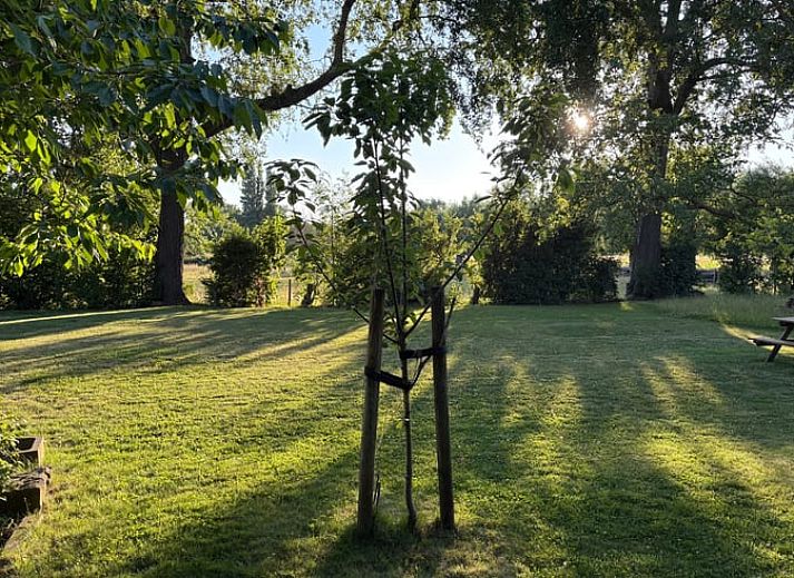 Comfortabele slaapkamer in Huisje in Middelburg, vakantieaccommodatie in Walcheren, Zeeland met houten vloer.