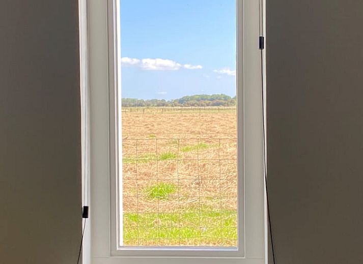 Geniet van het landelijke uitzicht vanaf het terras van Huisje in Middelburg, een idyllisch vakantiehuis op Walcheren, Zeeland.