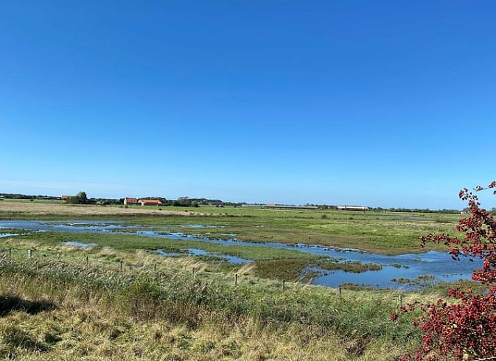 Moderne keuken in Huisje in Middelburg, een vakantiehuis in Walcheren, Zeeland, met groene kasten en een stijlvol zwart aanrecht.