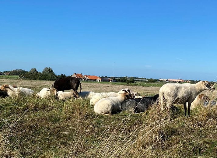 Gezellige zithoek in het Huisje in Middelburg, vakantiehuis op Walcheren, Zeeland. Comfortabele binnenruimte met uitzicht op de stad.