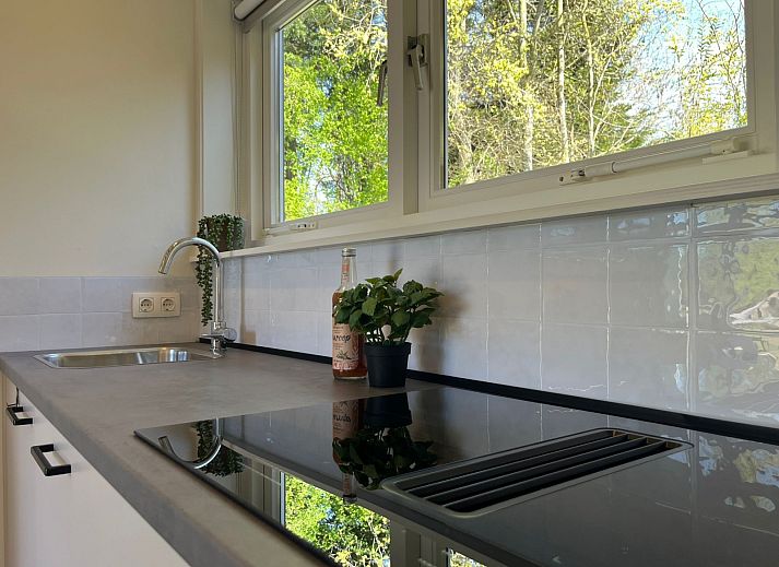 Verblijf 621609 - Vakantiewoning Walcheren - ZE1706