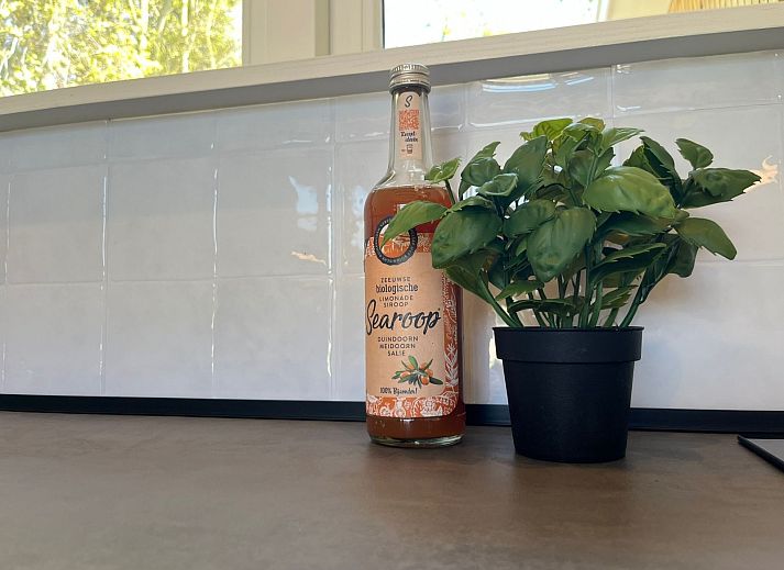 Verblijf 621609 - Vakantiewoning Walcheren - ZE1706