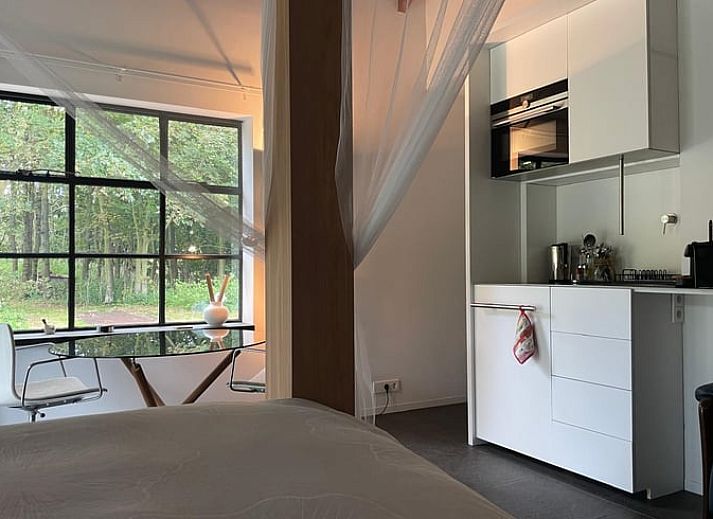 Groene tuin met hangmat en kip bij Vakantiehuisje in Biggekerke, Walcheren, Zeeland.