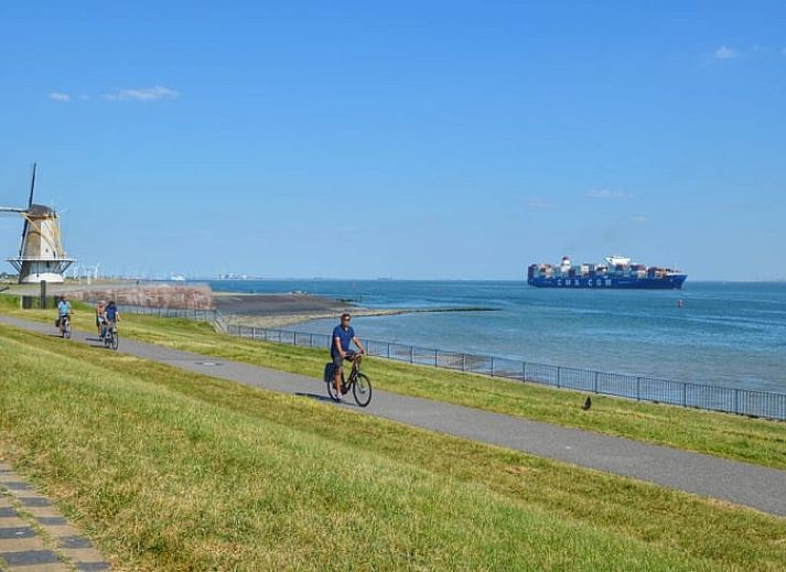 Slaapkamer met werkplek en uitzicht op tuin bij Vakantiehuisje in Biggekerke, Walcheren, Zeeland.
