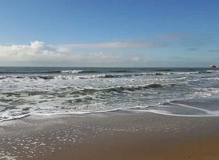 Guest house 621630 - Holiday property Walcheren - De Tollenaer