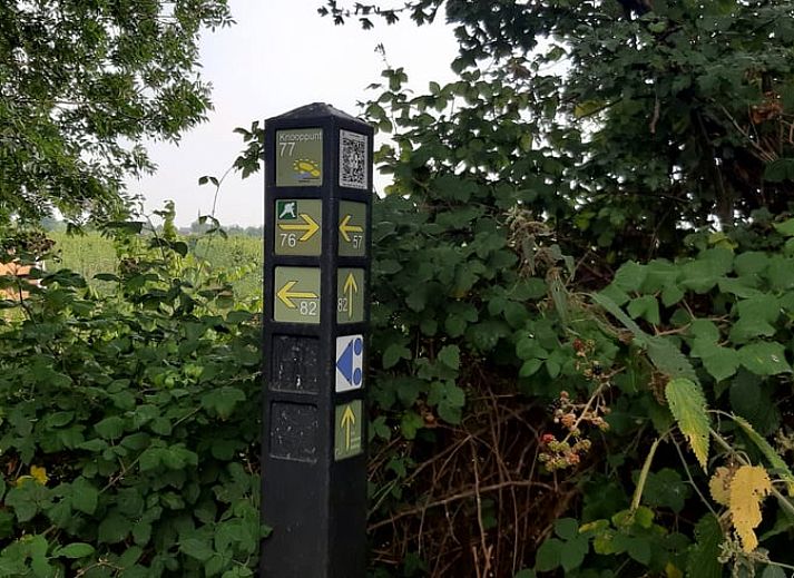 Gemuetliches Wohnzimmer im Ferienhaus in Oudelande, Walcheren, Zeeland.
