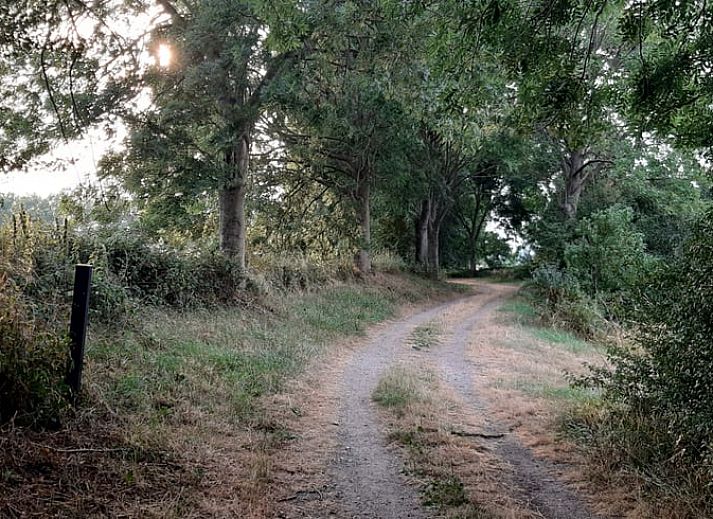 Gemuetliches Wohnzimmer im Ferienhaus in Oudelande, Walcheren, Zeeland.