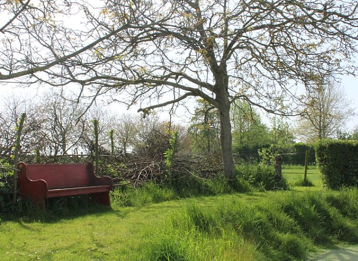Gemuetliches Wohnzimmer im Ferienhaus in Oudelande, Walcheren, Zeeland.