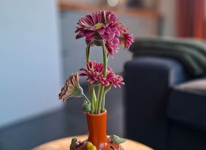 Gezellige woonkamer van Huisje in Oudelande met uitzicht op de natuur van Walcheren, Zeeland.