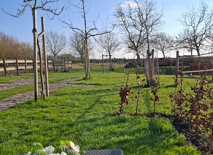 Comfortabele zithoek in Huisje in Oudelande, vakantieaccommodatie in Walcheren, Zeeland.