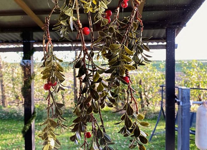 Ferienhaus in Oudelande mit Terrasse, gelegen in Walcheren, Zeeland.