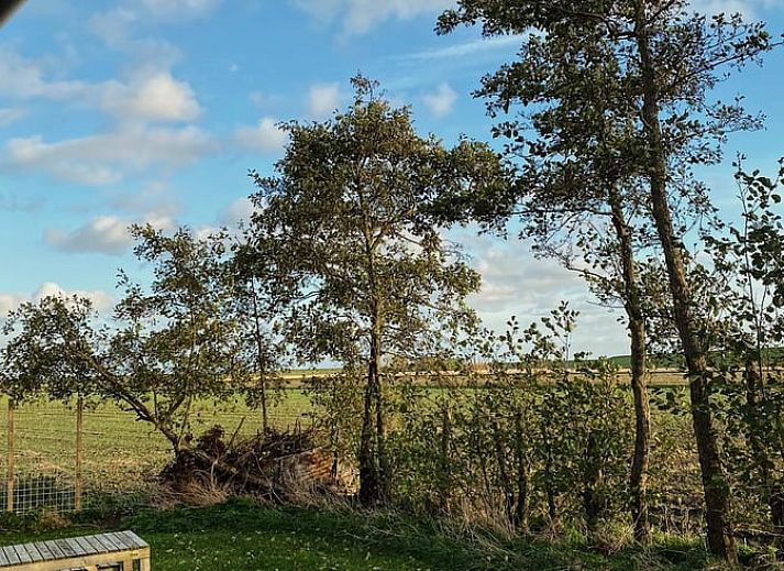 Ferienhaus in Oudelande mit Terrasse, gelegen in Walcheren, Zeeland.