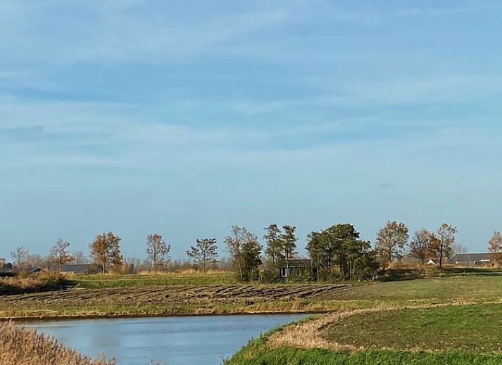 Natuerliche Dekoration im Ferienhaus in Oudelande, Walcheren, Zeeland.