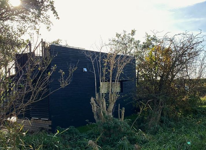 Natuerliche Dekoration im Ferienhaus in Oudelande, Walcheren, Zeeland.