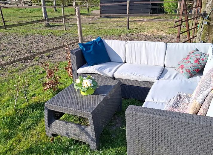 Guest house 622004 - Holiday property Walcheren - De Bloesem