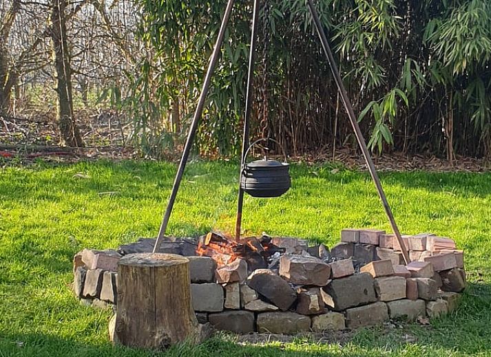 Terras van Vakantiehuisje in Oudelande, Walcheren met zitmeubilair en natuur.