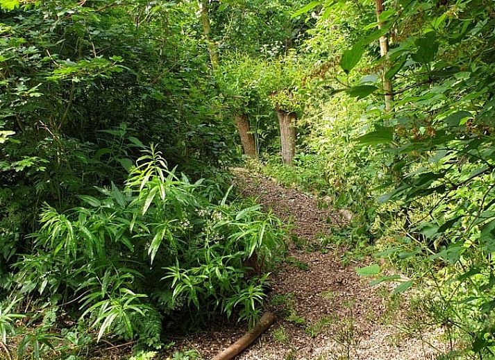 Terras van Vakantiehuisje in Oudelande, Walcheren met zitmeubilair en natuur.