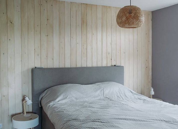 Vakantiehuis in Ritthem met alpaca's op de groene weide, Walcheren, Zeeland.