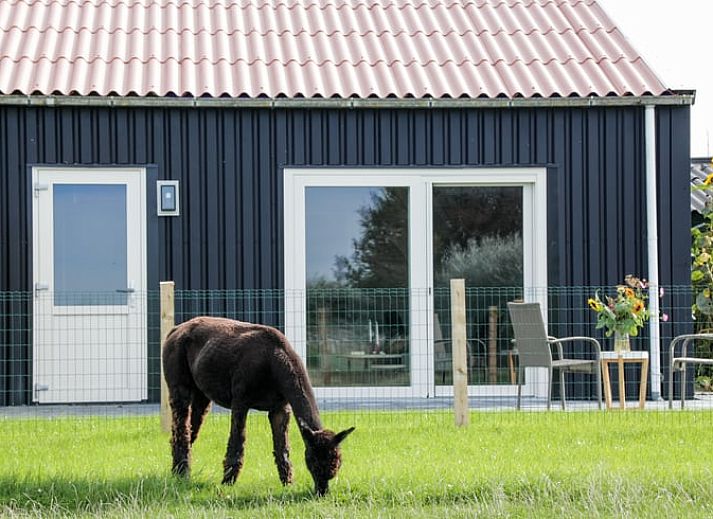 Gezellige slaapkamer met uitzicht op de natuur in Vakantiehuis in Ritthem, Zeeland.