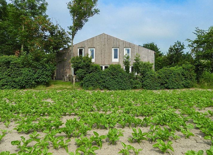 Gezellige woonkamer in VZ661 Appartement Grijpskerke, vakantiewoning in Walcheren.