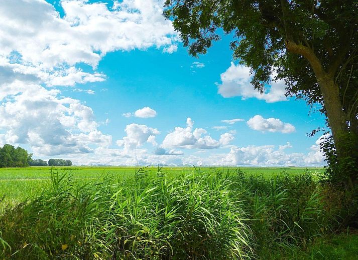 VZ137 Vakantiehuis Grijpskerke, comfortabele zithoek in Grijpskerke, Walcheren, Zeeland.