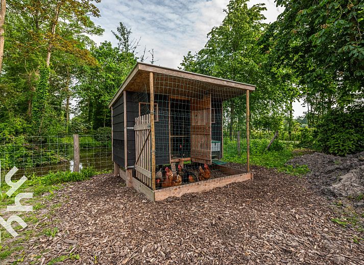 Unterkunft 622424 - Ferienhaus Walcheren - ZE135