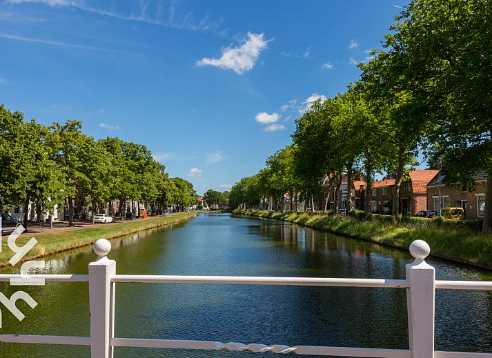 Kippenren bij vakantiehuis ZE136, Grijpskerke, Walcheren, Zeeland, omringd door natuur.